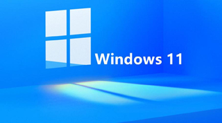 为什么win11用着用着就死机