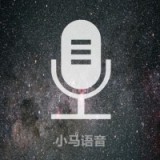 中英语音翻译器