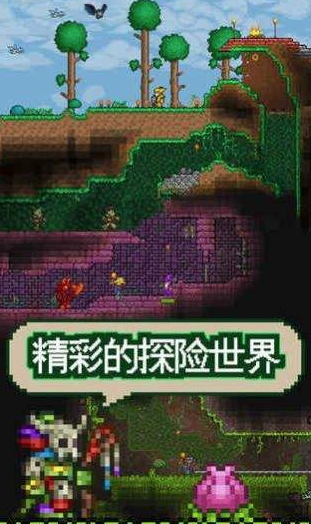 泰拉瑞亚全物品存档版