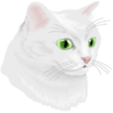 猫与黄泉路