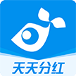 小福鱼分红赚钱