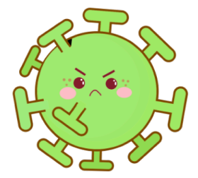 蝙蝠小心点游戏