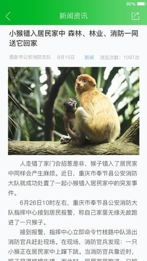 人人安全