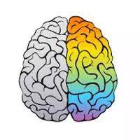 开个脑洞Brain Master