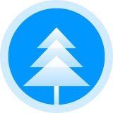 大树王接单平台