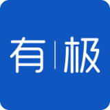 有极