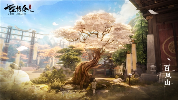 陈情令网易手游