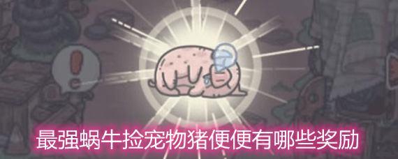 最强蜗牛捡宠物猪便便有哪些奖励 捡宠物猪便便奖励一览
