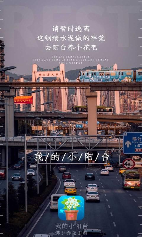 我的小阳台红包版