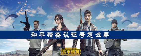 和平精英认证号怎么弄 和平精英认证号申请方法