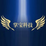 掌宝科技