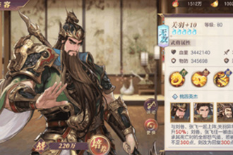 三国志幻想大陆关羽怎么搭配阵容 关羽阵容搭配及打法思路