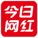 今日网红