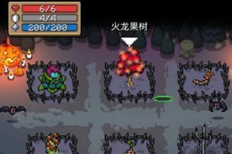 元气骑士花园种什么好 元气骑士花园种植攻略