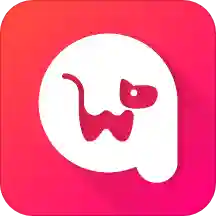 千尾(宠物管家)