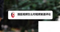 搜狐视频怎么对视频发送评论