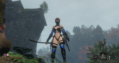 只狼影逝二度清凉泳装死或生霞外观MOD