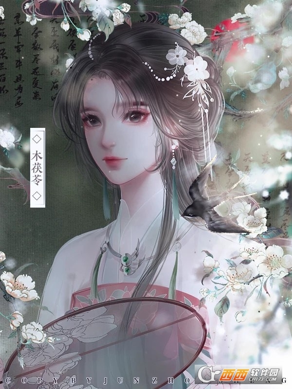 云鬓花颜安卓版