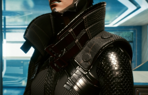 赛博朋克2077高领马甲自定义变体MOD