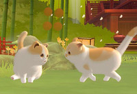 忘川风华录名士猫怎么获得 忘川风华录怎么进化名