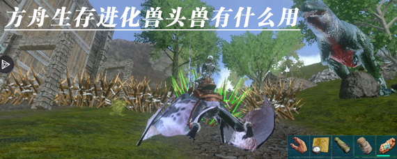 方舟生存进化兽头兽有什么用 方舟生存进化兽头兽可以骑吗