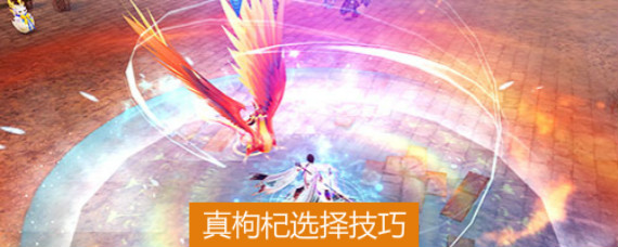 诛仙手游枸杞怎么选 诛仙手游真枸杞怎么找