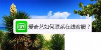 爱奇艺如何联系在线客服