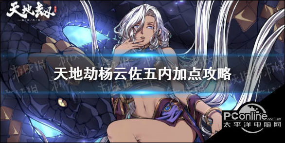 天地劫杨云佐五内怎么点？杨云佐五内加点攻略