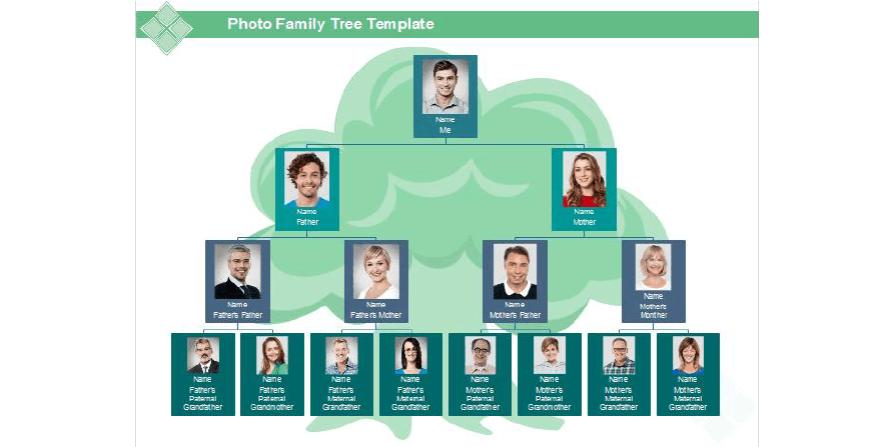 Ahnenblatt(家谱树状图软件)