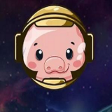 猪币pigcoin