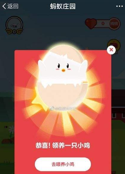 支付宝蚂蚁庄园道具在哪领 蚂蚁庄园道具获得方法