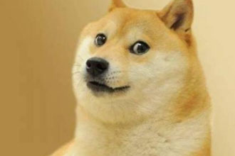 如何用电脑挖狗狗币 狗狗币一台电脑一天能挖多少