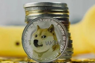 马斯克为什么喜欢狗狗币？5月8号狗狗币还会大涨吗？