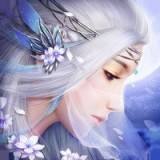 双剑奇缘内购版