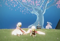 光遇樱花树什么时候消失 光遇樱花活动什么时候结