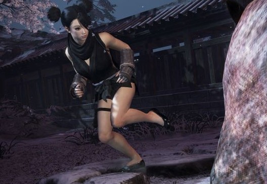 仁王2玄冥阴阳师草鞋替换成平底鞋MOD