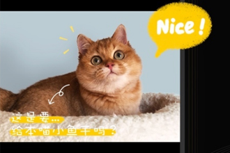 剪映怎么用 剪映app使用方法