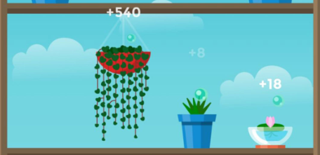 植物日记