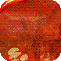 诸神黄昏雷神商城特权版