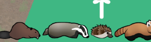 环世界温带森林动物扩展MOD