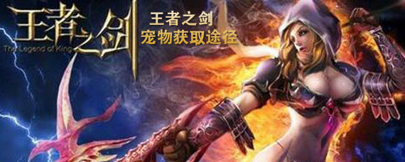 王者之剑手游如何获得宠物 王者之剑手游获得宠物途径