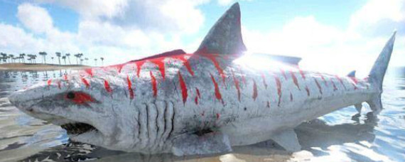 方舟生存进化巨齿鲨怎么驯服 方舟生存进化巨齿鲨驯服方法