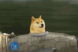 狗狗币最新价格怎么买 狗狗币最新行情分析