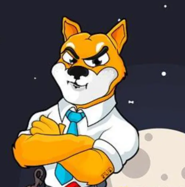 shib是什么币?哪个国家发行的?在哪个交易平台买?