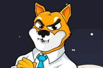 shib是什么币？哪个国家发行的？在哪个交易平台买？