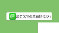 爱奇艺随刻版免费下载安装_爱奇艺怎么查看账号ID