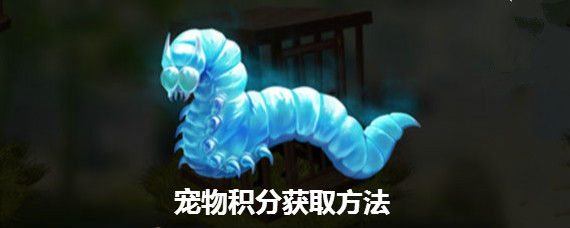 濡沫江湖宠物积分怎么得 濡沫江湖宠物积分有什么用