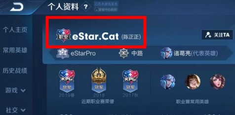 王者荣耀为什么头像左上角有职业两个字 职业标签是什么意思