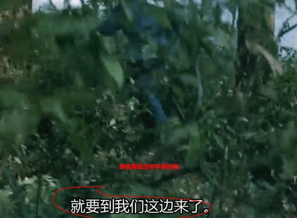 视频字幕识别和合成软件