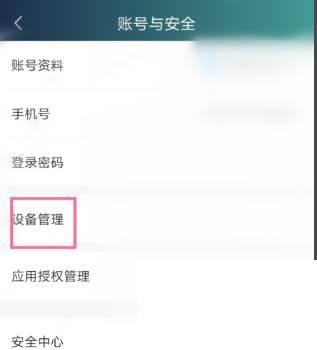 爱奇艺怎样查看当前的在线设备